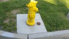 Fire Hydrant